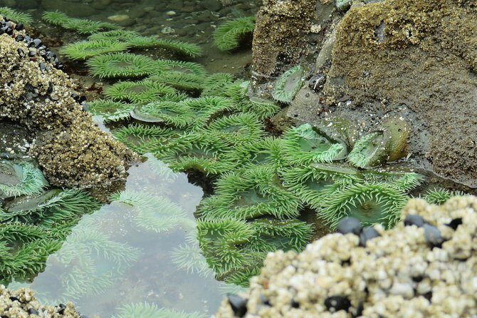 3 Days in Olympic National Park from Seattle: Silent Forest - Hoh Rainforest - Day 3: Lake Crescent Stretch, a Secret Waterfall, and Hurricane Ridge High Point
