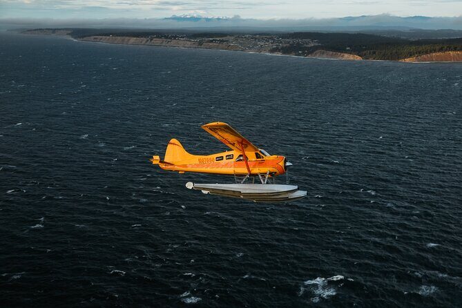 3 Hours San Juan Island Seaplane Tour from Seattle - Key Highlights You’ll Care About