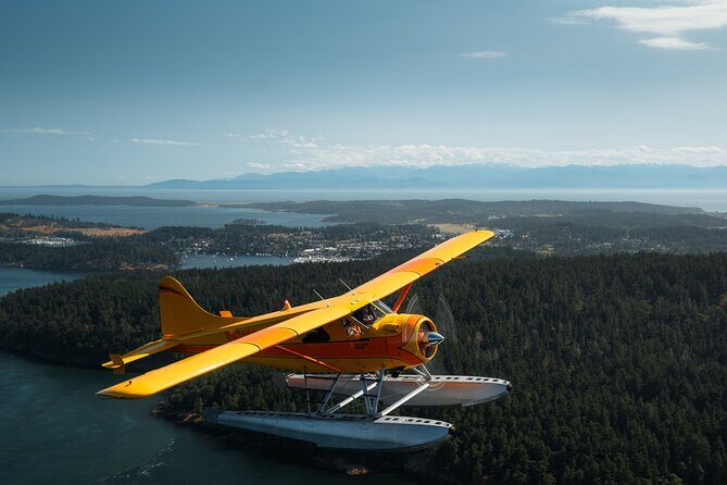 3 Hours San Juan Island Seaplane Tour from Seattle - The Real Hook: A Seaplane Ride That Turns Seattle Into a View From Above