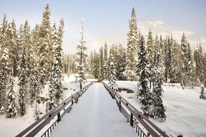 7-Day Small Group Tour: Canadian Rockies and National Parks - Key things I’d circle before you book