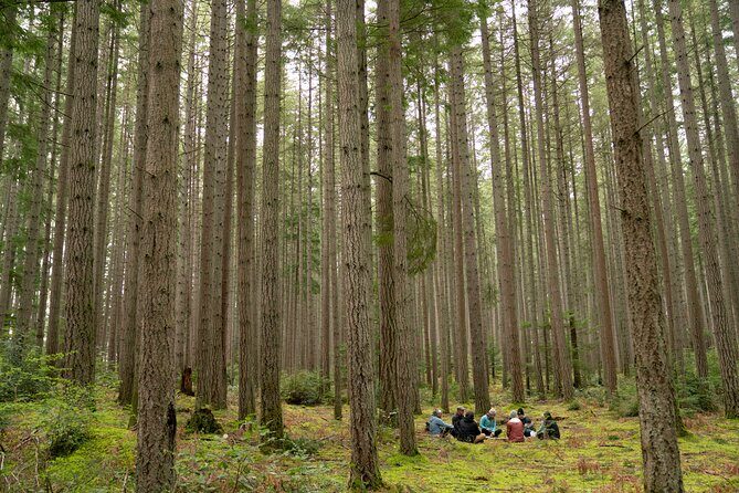 Bainbridge Island Serenity Forest Hike & Cultural Landmarks Tour - Key highlights at a glance