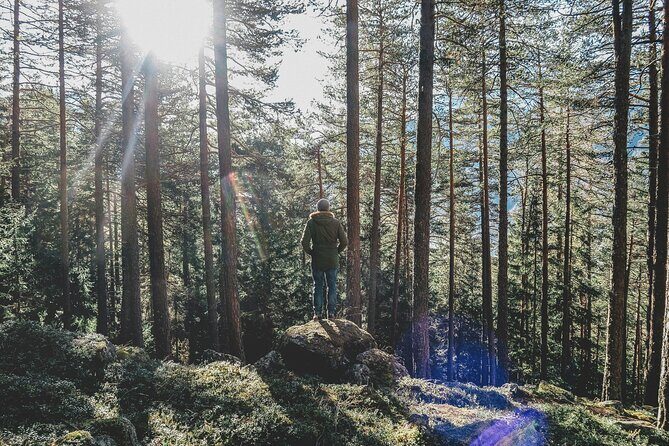Bainbridge Island Serenity Forest Hike & Cultural Landmarks Tour - A 2.5-Hour Bainbridge Mix of WWII Memory and Forest Quiet