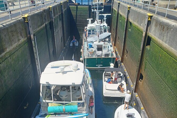 Boeing Factory Tour & Seattle City Tours Combo - Hiram M. Chittenden Locks: the one stop that teaches you something