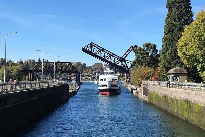 City Sightseeing Seattle HOHO Bus and Locks or Harbour Cruise - Meeting Point, Timing, and How to Get on Without Stress