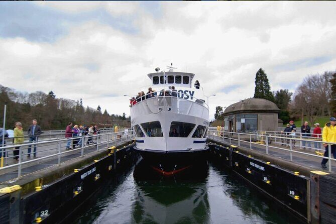 City Sightseeing Seattle HOHO Bus and Locks or Harbour Cruise - Amazon Spheres and Westlake: A Modern Seattle Finale