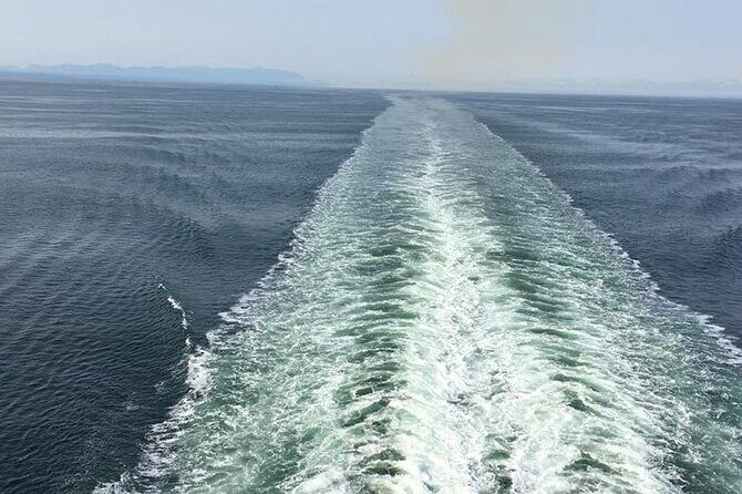 Explore Olympic National Park from Seattle through Van /Ferry - Lake Crescent: short photo turnouts with big scenery