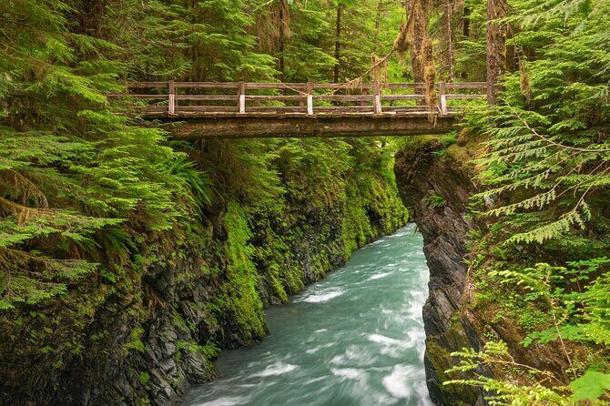 Explore Olympic National Park from Seattle through Van /Ferry - Olympic Game Farm: the fun stop that costs extra