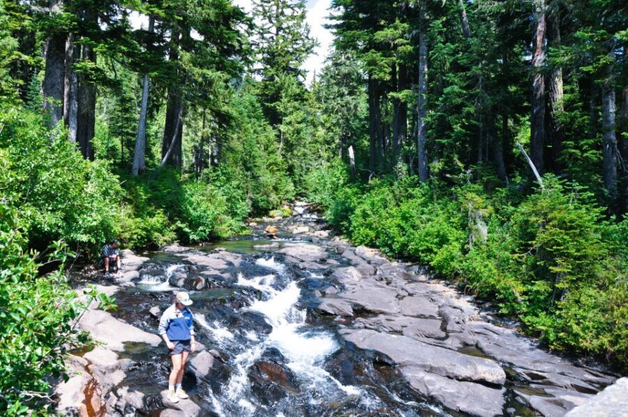From Seattle: Customized Mount Rainier Tour - Who this Mount Rainier tour is best for