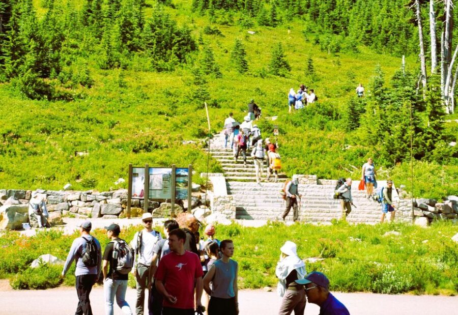 From Seattle: Customized Mount Rainier Tour - Seattle-to-Rainier, without the hassle tax