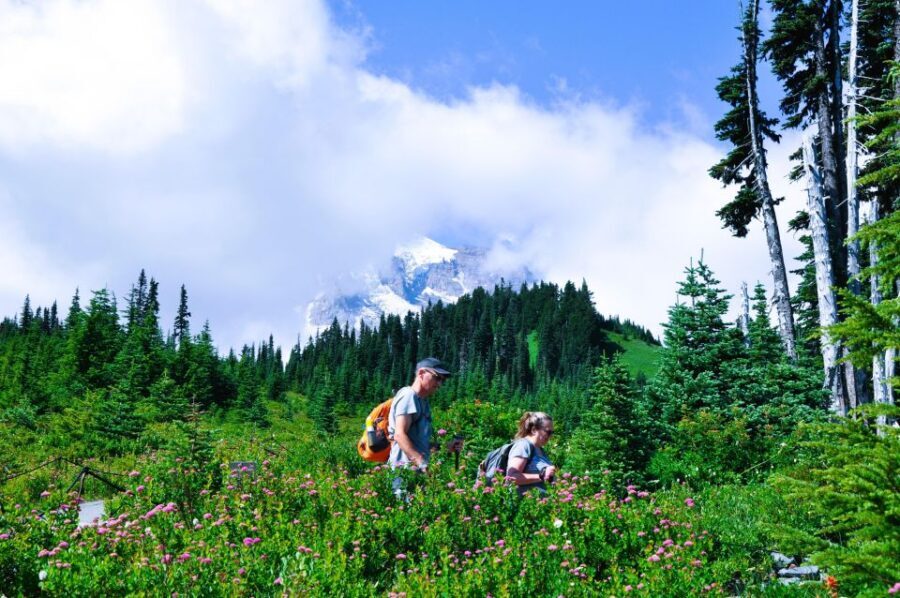From Seattle: Customized Mount Rainier Tour - Paradise time: the big decision point of the day