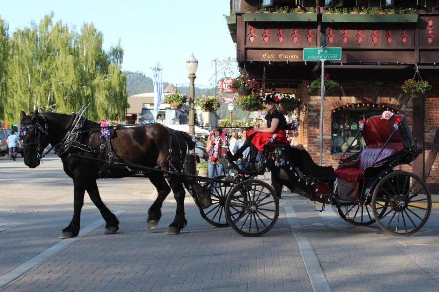 From Seattle: Day Trip Through The Cascades to Leavenworth - The guided walk or snowshoe: beginner-friendly, but real work