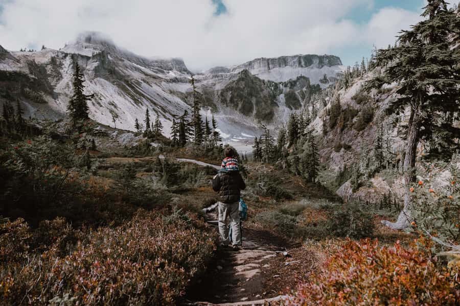 From Seattle - Enchanting Mt Baker & Cascade mountains tours - Key Highlights Worth Getting Excited About