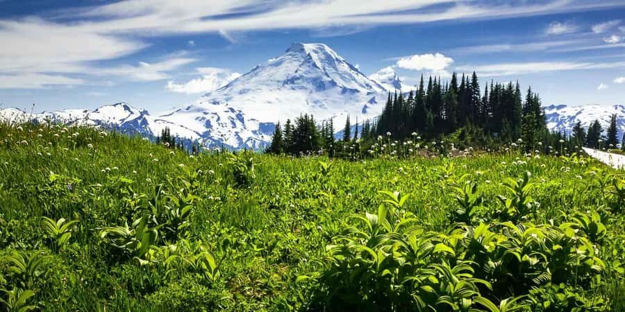 From Seattle - Enchanting Mt Baker & Cascade mountains tours - Fairhaven and Bellingham: the small-town contrast that keeps the day human