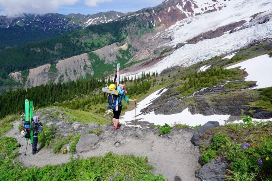 From Seattle - Enchanting Mt Baker & Cascade mountains tours - Nooksack Falls: adding sound and movement to the scenery