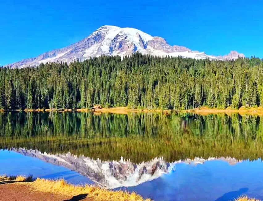 From Seattle: Mount Rainier National Park 1-Day Tour - Entering Mount Rainier without the driving stress