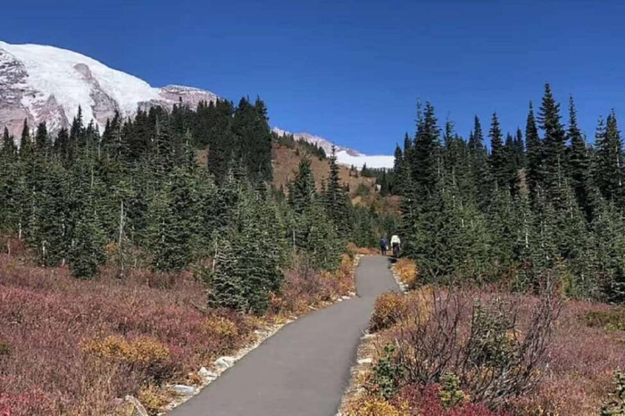 From Seattle: Mount Rainier National Park 1-Day Tour - Guide value: Duan and Nan-style pacing you can feel