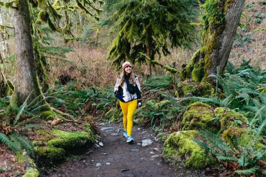From Seattle: Visit Snoqualmie Falls and Hike to Twin Falls - The rainforest feeling: what the Cascades narration is really for