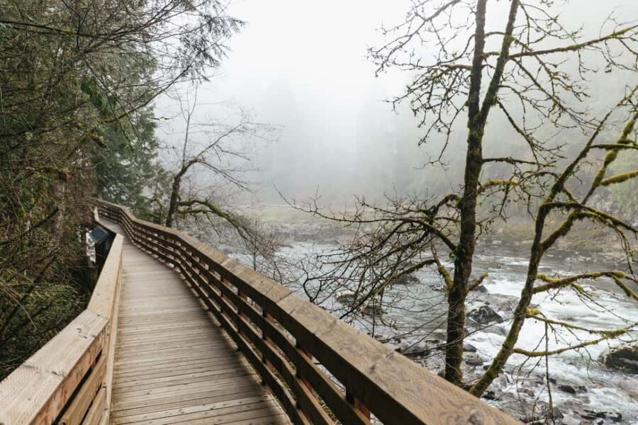 From Seattle: Visit Snoqualmie Falls and Hike to Twin Falls - Who this tour fits best