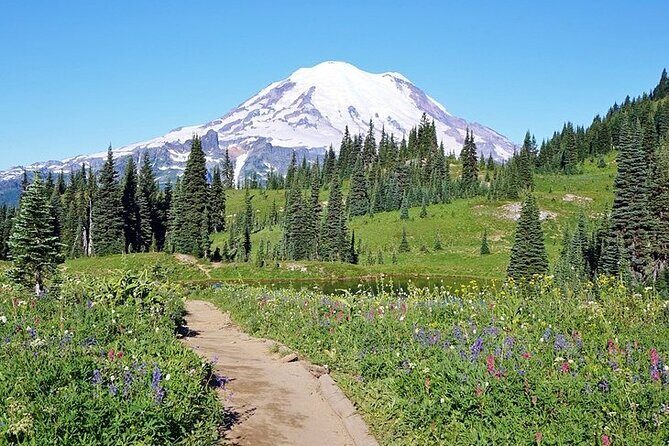 Full-Day Mt Rainier National Park Private Tour in SUV - From Bellevue to the park entrance: breakfast and timing that sets you up
