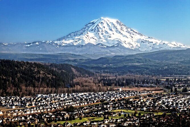 Full-Day Mt Rainier National Park Private Tour in SUV - Price and value: what $685 buys you (and what it can’t)