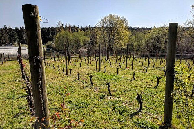 Full-Day Small-Group Bainbridge Island Wine and History Tour - Key Tour Takeaways