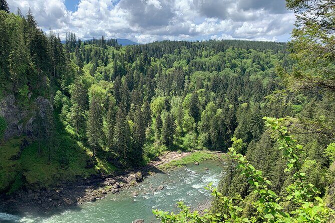 Guided forest hike to Seattle waterfalls incl. Snoqualmie Falls - Logging towns: Snoqualmie and North Bend, with Twin Peaks in the mix