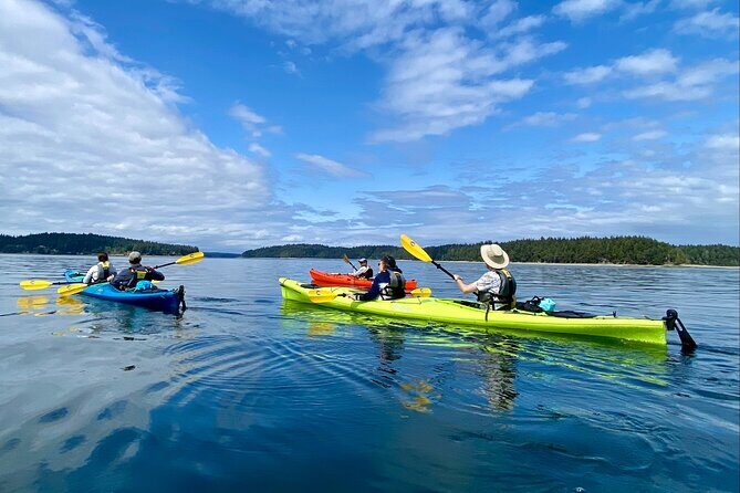 Guided Kayak Tour To Hope Island State Park - The Best Bits: What Makes This Kayak Tour Worth Your Time