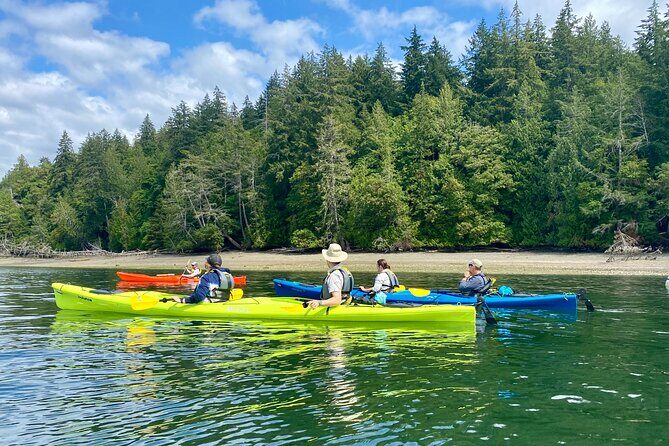 Guided Kayak Tour To Hope Island State Park - Arcadia Point Boat Ramp: The Launch Point You’ll Want to Find Early