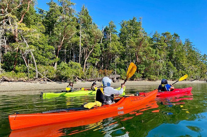 Guided Kayak Tour To Hope Island State Park - The Paddle Out: Protected Water, Wildlife Watching, and a Manageable Pace