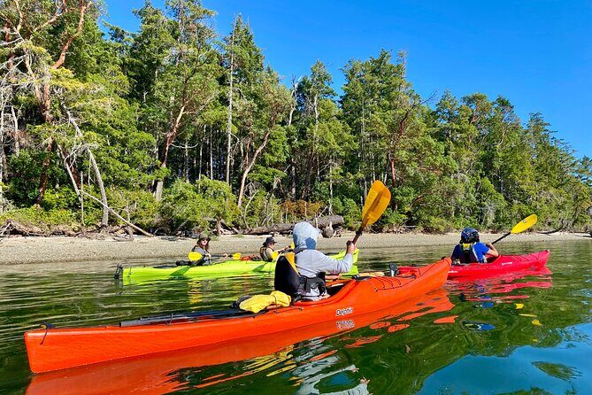 Guided Kayak Tour To Hope Island State Park - Guides Ross and Doug: The Coaching That Helps You Feel Capable
