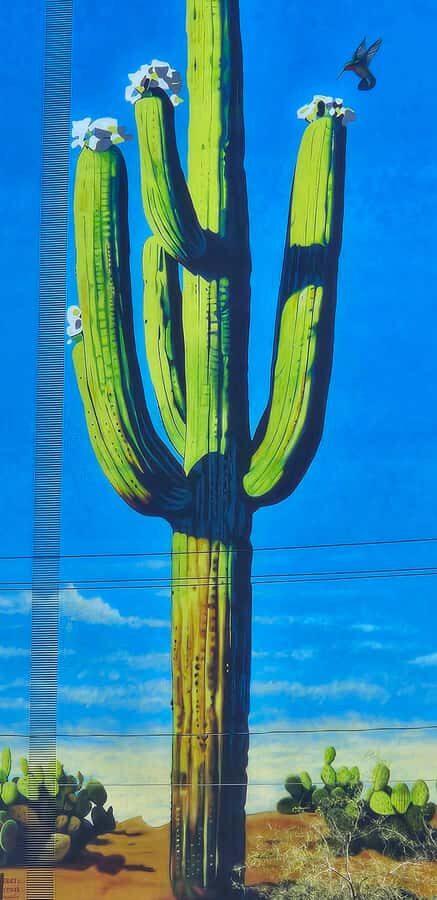 Historic Tucson Walking Tour - Quick hits before you start