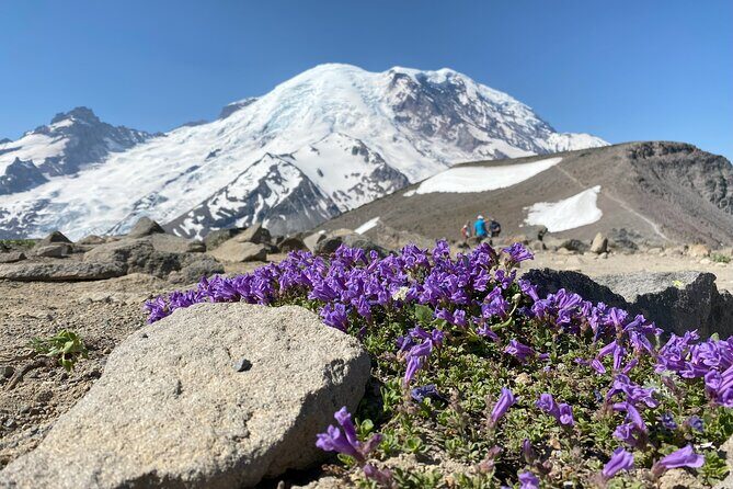 Mount Rainier Day Hike - Lunch, snacks, and the water question you should plan for