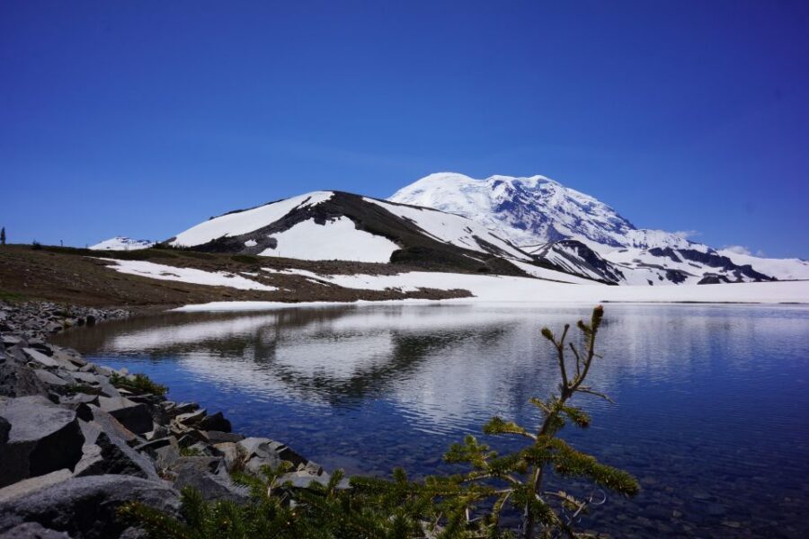 Mount Rainier: Day Hike on the Mountain - A morning drive that lines you up for the best light