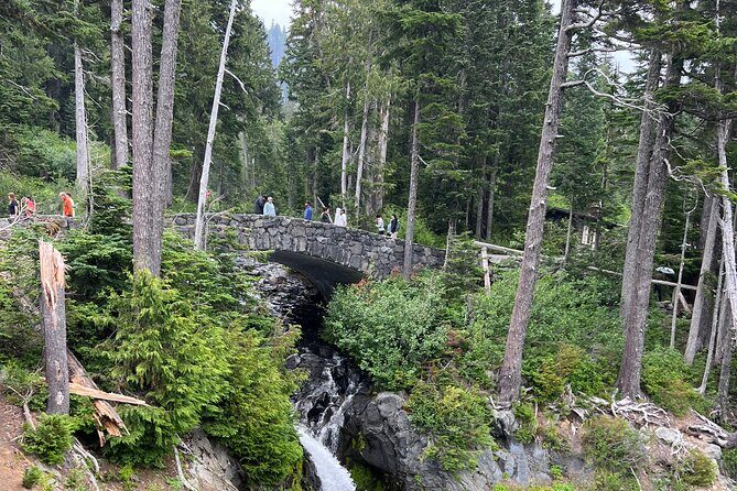 Mount Rainier Private Full Day — Sprinter Van or SUV - Your driver matters: comfort, safety, and real-world flexibility