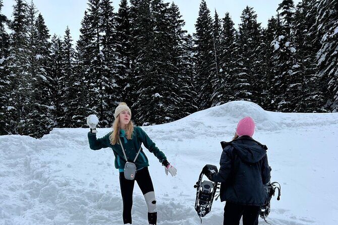 Mount Rainier Private Full Day — Sprinter Van or SUV - Value check: is $350 per person worth it?