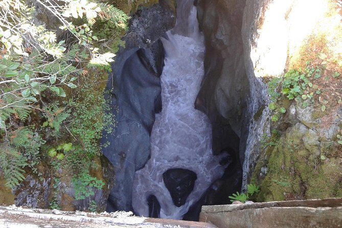 Mount Rainier Tour from Seattle - Weather Reality at Rainier: How to Keep the Day Fun