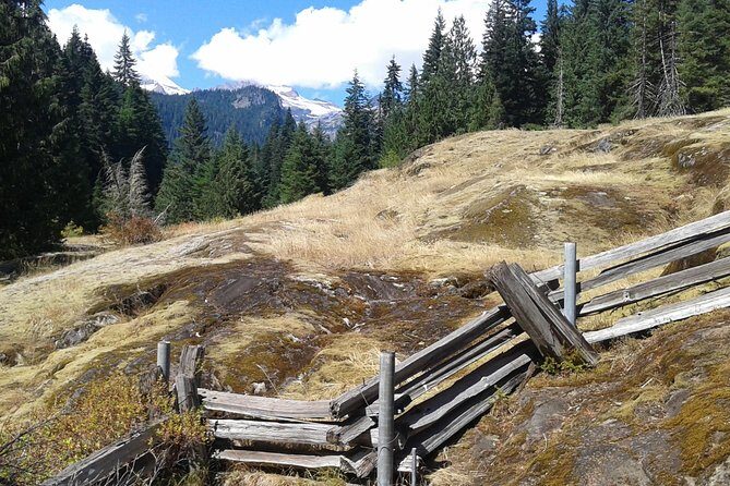 Mount Rainier Tour from Seattle - How Long Is the Day, and How to Spend It Without Wasting It