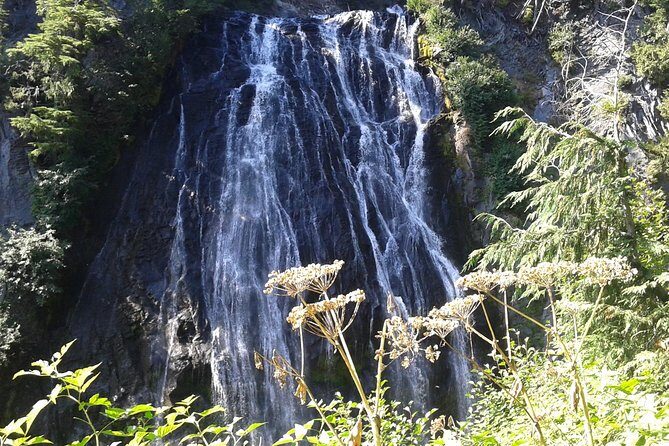 Mount Rainier Tour from Seattle - Should You Book This Mount Rainier Tour from Seattle?