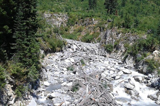 Mt Rainier Private Tour Experience in SUV - The 9-Hour Day: How the Timing Usually Feels