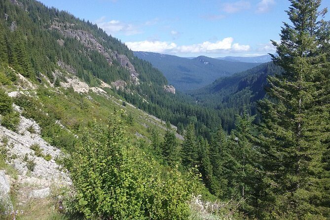 Mt Rainier Private Tour Experience in SUV - Park Fees, Snacks, and Water: The Small Stuff That Makes the Day Work