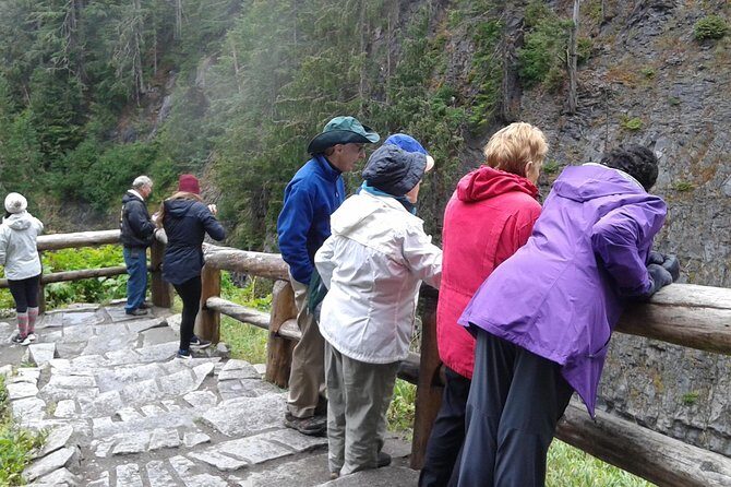 Mt Rainier Private Tour Experience in SUV - Lunch Is On You, But the Guide Can Help You Time It