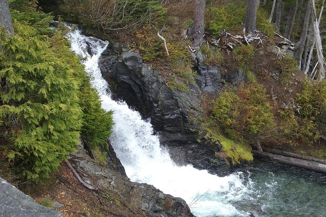 Mt Rainier Private Tour Experience in SUV - Who This Tour Suits Best (And Who Might Want to Pass)