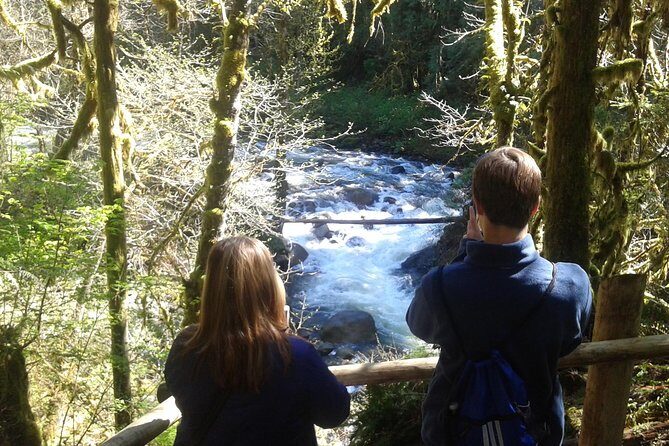 Private Cascade Mountains and Waterfalls Tour from Seattle - A 9-hour Cascade day that starts at your door
