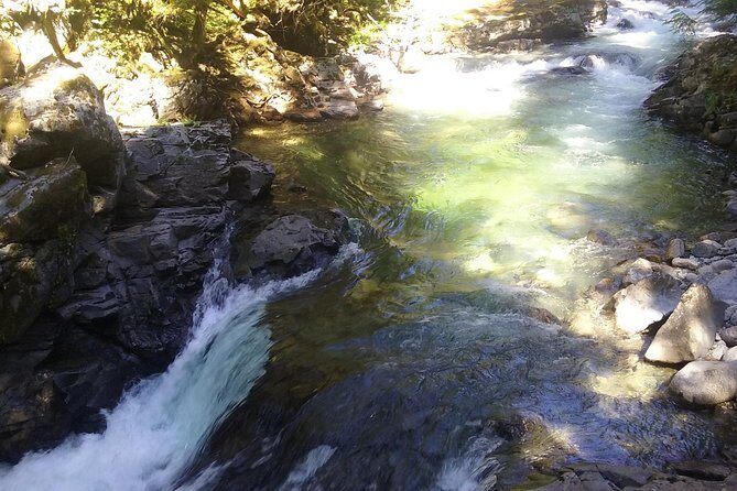 Private Cascade Mountains and Waterfalls Tour from Seattle - Stevens Pass Scenic Byway: two hours of mountain-drive scenery