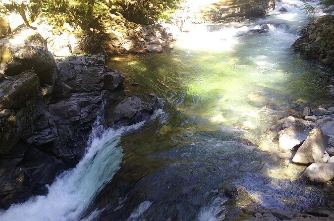 Private Cascade Mountains and Waterfalls Tour from Seattle - Leavenworth in two hours: Bavarian town time, minus the lunch stress