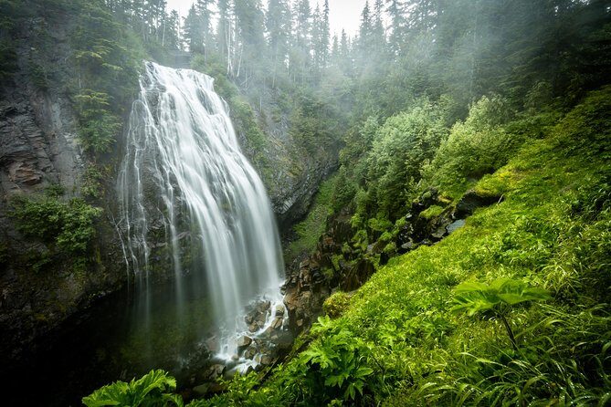 Private Mt Rainier National Park Day Trip from Seattle - How this private day trip feels different from a bus tour