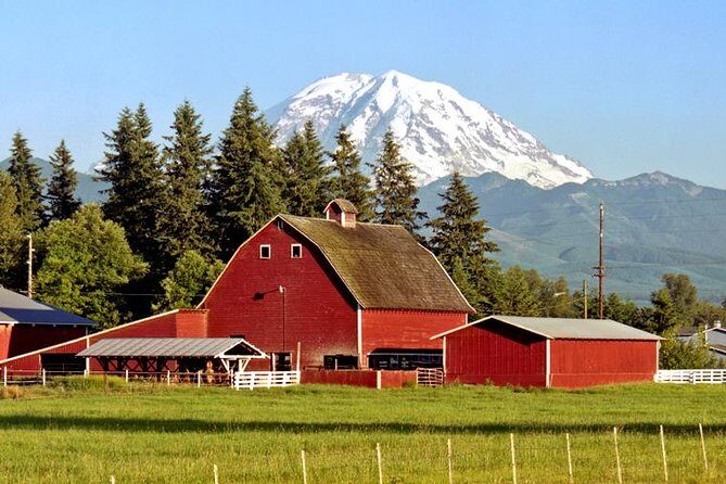 Private Mt Rainier National Park Day Trip from Seattle - The Seattle pickup window that sets the tone