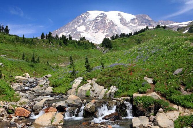 Private Mt Rainier National Park Day Trip from Seattle - Henry M. Jackson Visitor Center: history you can actually use