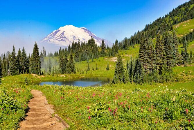 Private Mt Rainier National Park Tour in SUV - Quick hits before you go