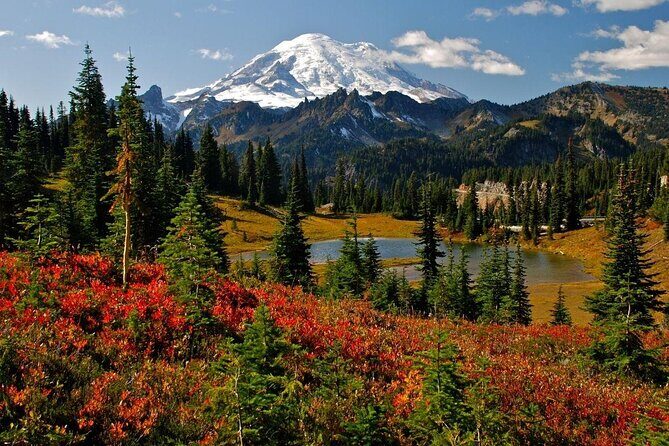 Private Mt Rainier National Park Tour in SUV - Your guided drive matters more than you think